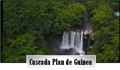 La Naturaleza, Vegetación encuentras en la Cascada de Guinea en mi Hueytamalco